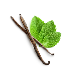 AP24® Anti-Plaque Fluoride Toothpaste AP24 Anti-Plaque Fluoride Toothpaste