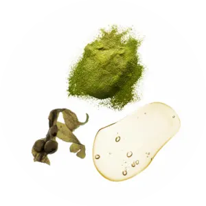 ageLOC LumiSpa iO Skincare Kit