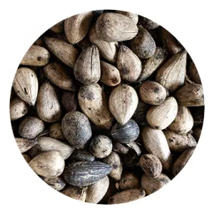 Epoch Hand Cream 50ML